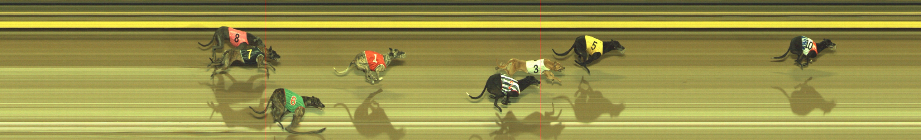 Photo finish for Geelong Race 11