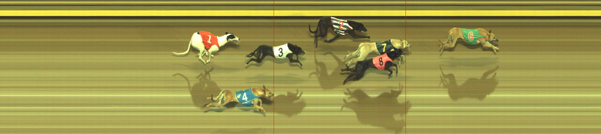 Photo finish for Geelong Race 12