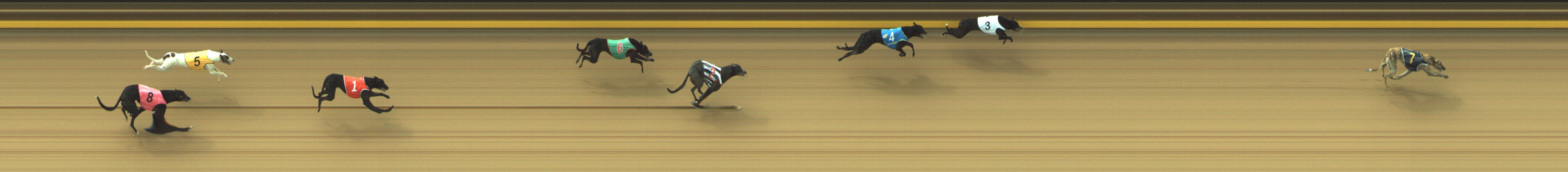 Photo finish for Geelong Race 1