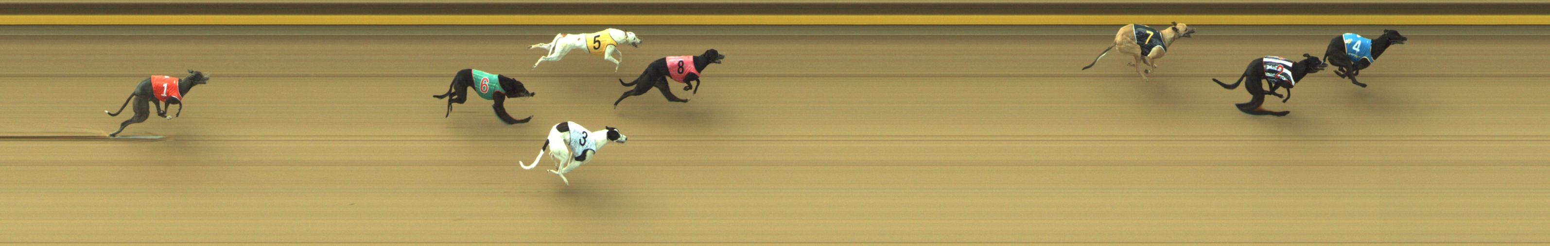 Photo finish for Geelong Race 2