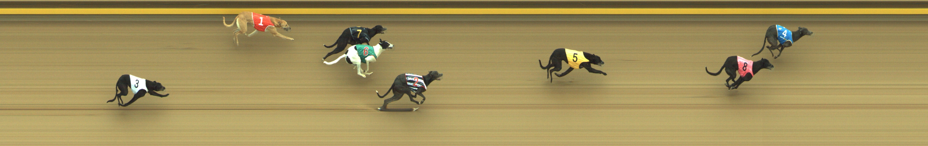 Photo finish for Geelong Race 3