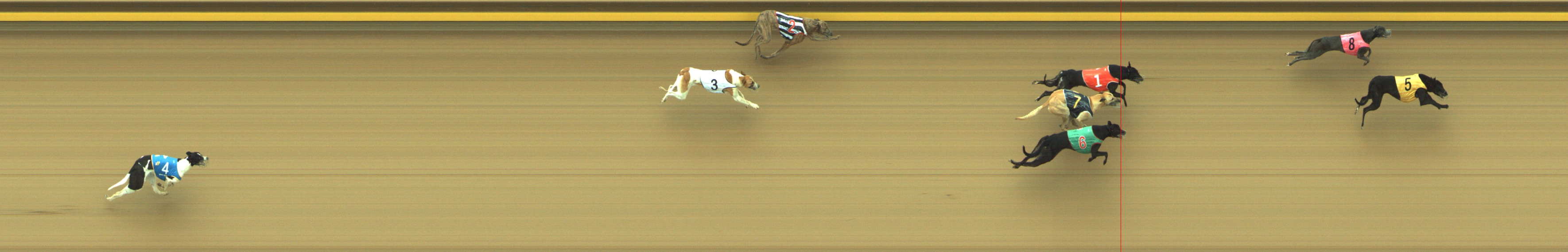 Photo finish for Geelong Race 4