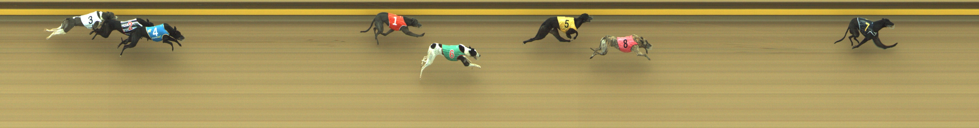 Photo finish for Geelong Race 5