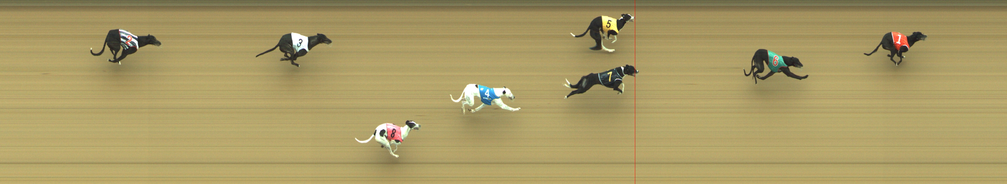 Photo finish for Geelong Race 6