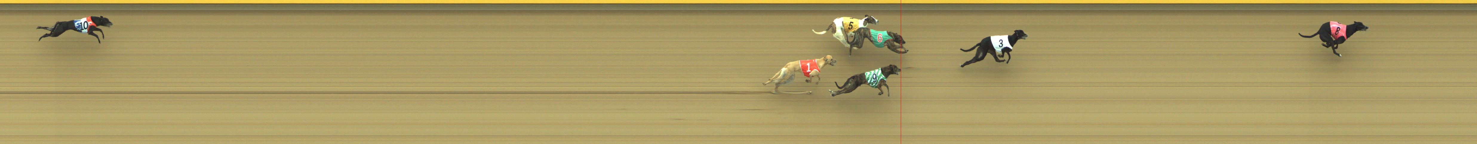 Photo finish for Geelong Race 7