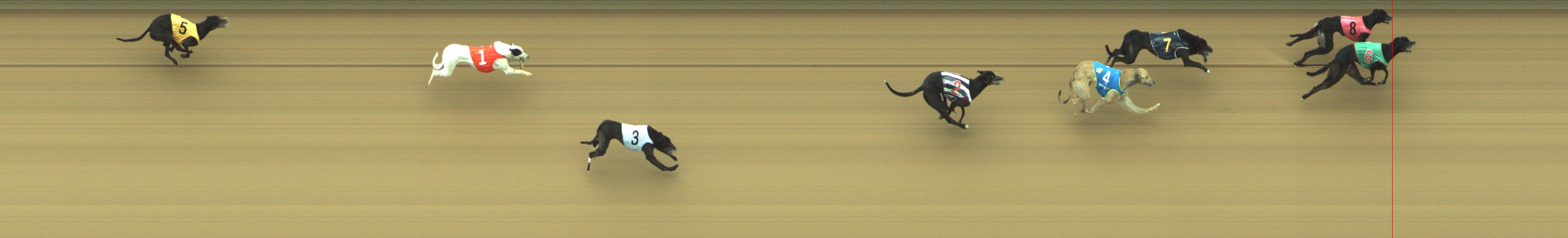 Photo finish for Geelong Race 8