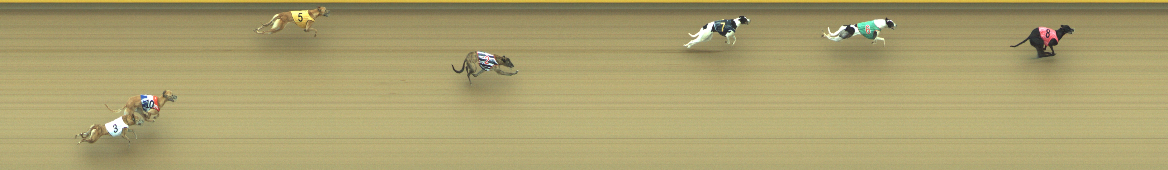Photo finish for Geelong Race 9