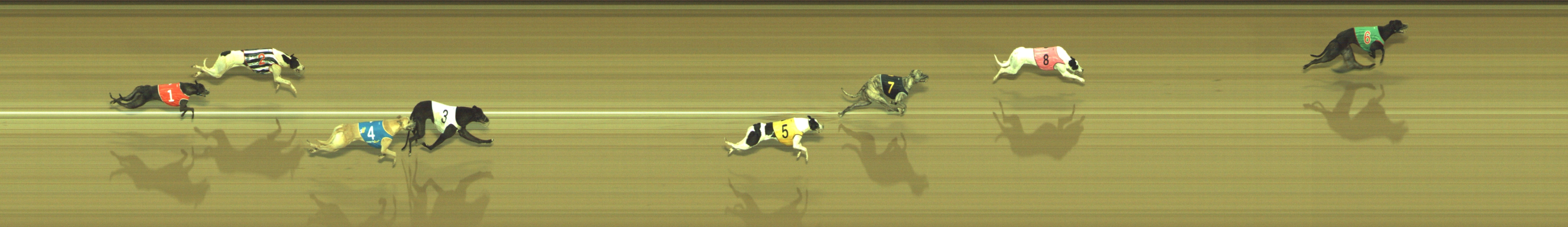 Photo finish for Geelong Race 10