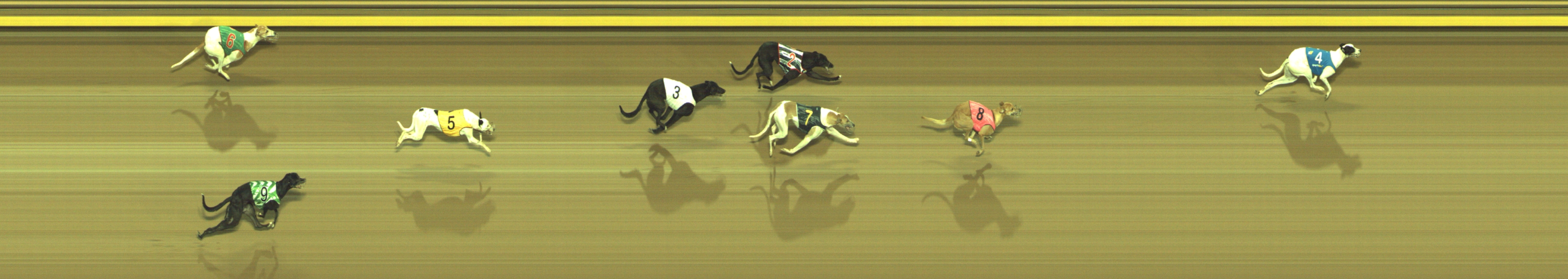 Photo finish for Geelong Race 11
