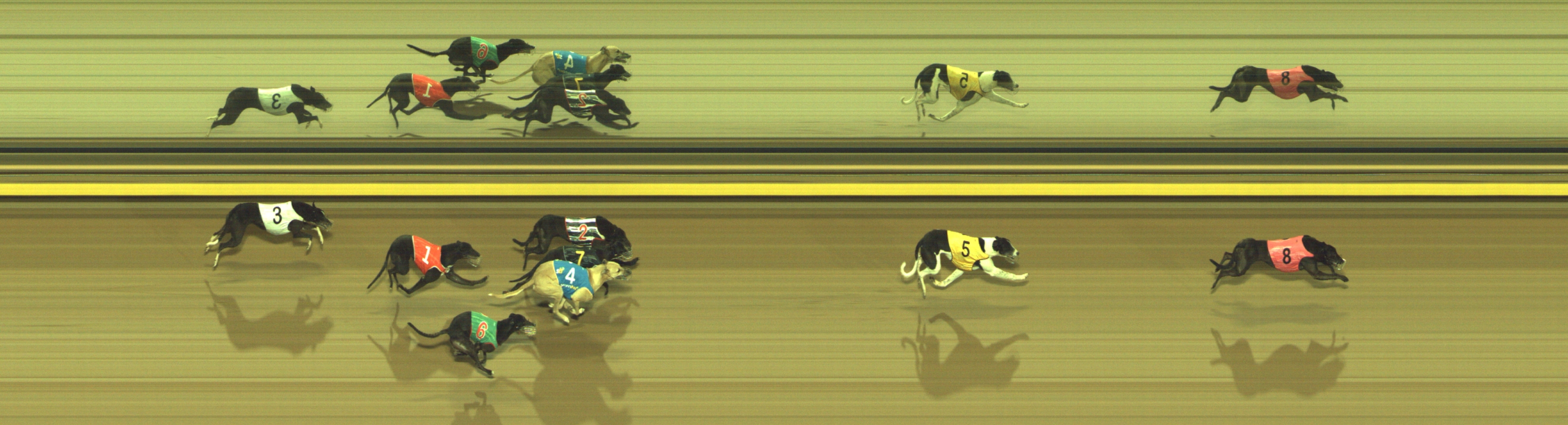 Photo finish for Geelong Race 12