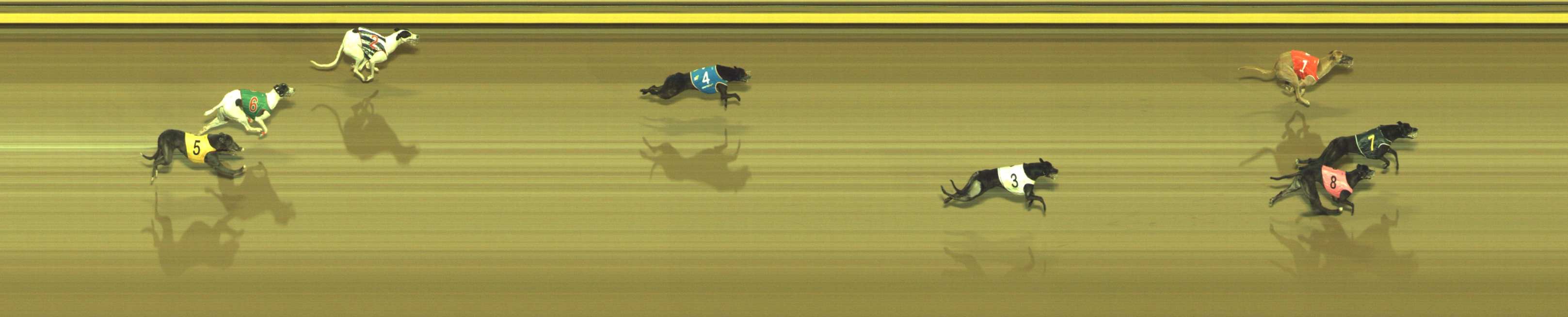 Photo finish for Geelong Race 13