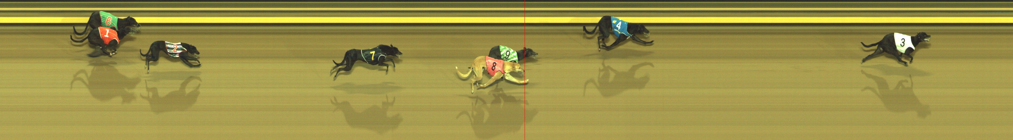 Photo finish for Geelong Race 1