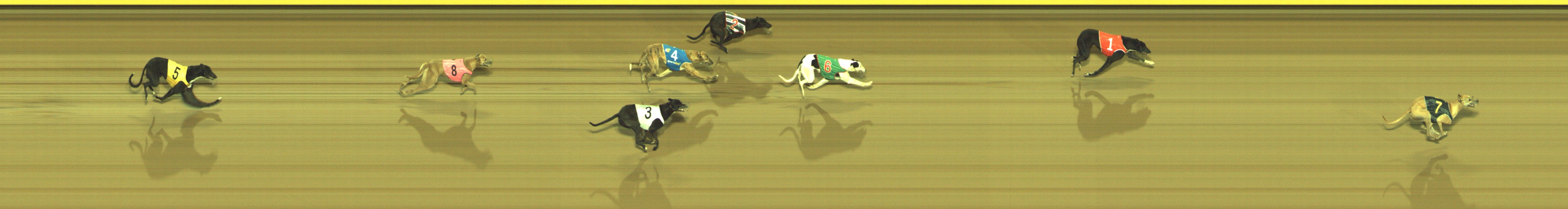 Photo finish for Geelong Race 2
