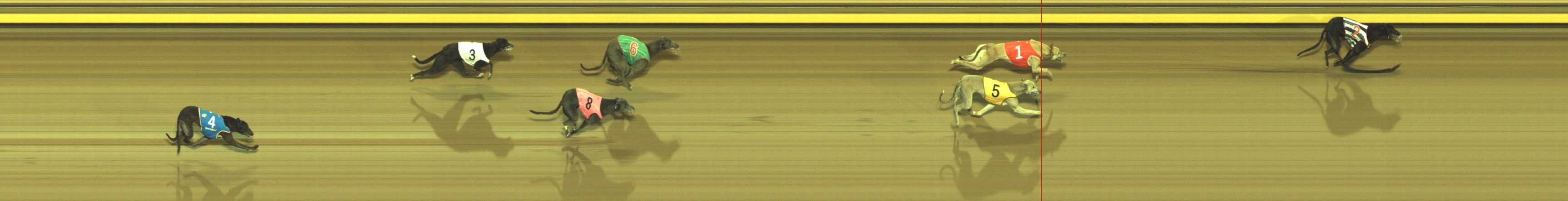 Photo finish for Geelong Race 4