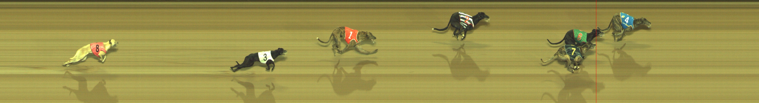 Photo finish for Geelong Race 5