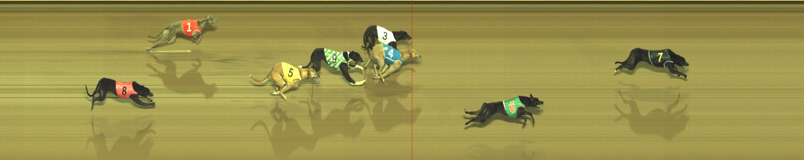 Photo finish for Geelong Race 6