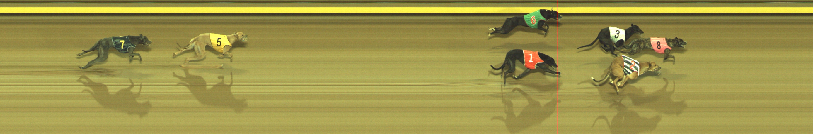 Photo finish for Geelong Race 7