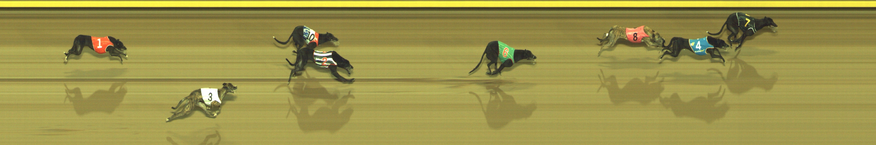 Photo finish for Geelong Race 8