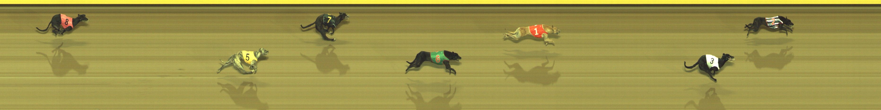 Photo finish for Geelong Race 10