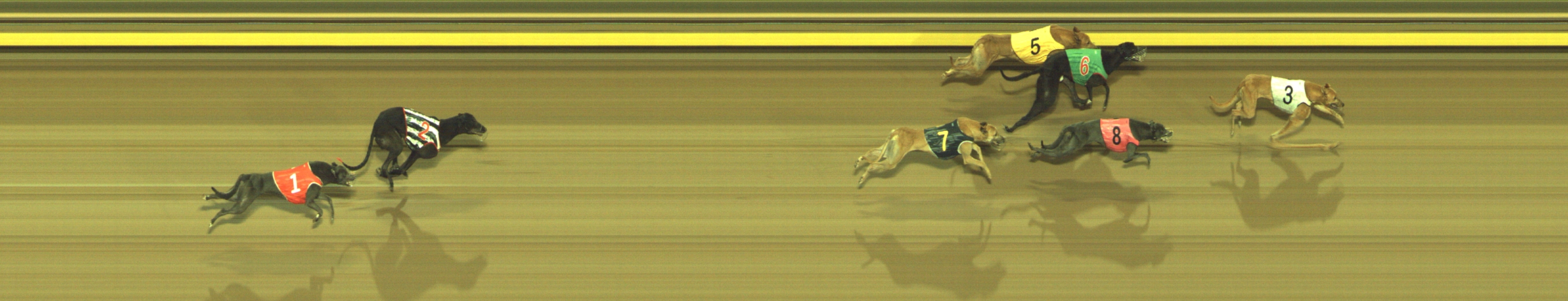 Photo finish for Geelong Race 11