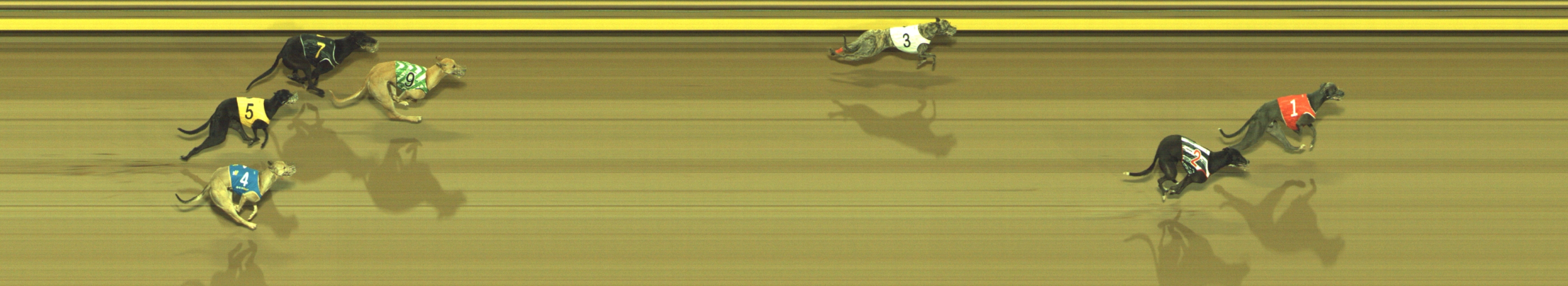 Photo finish for Geelong Race 12