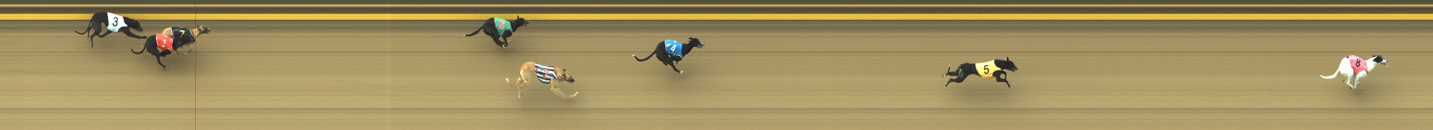 Photo finish for Geelong Race 1