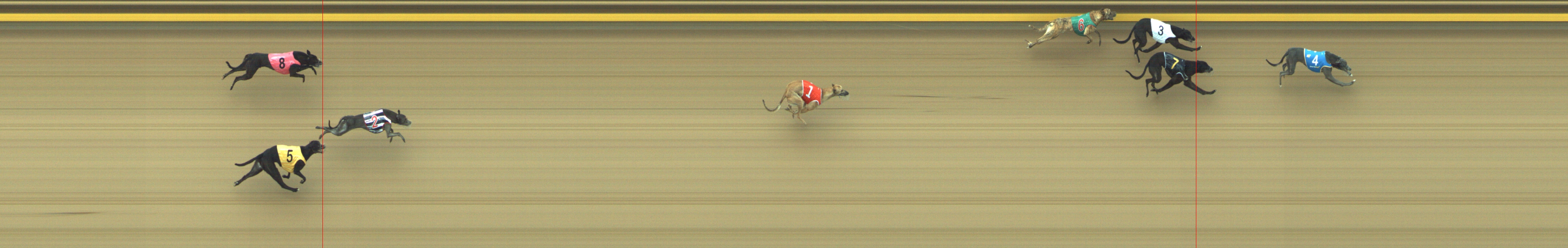 Photo finish for Geelong Race 2