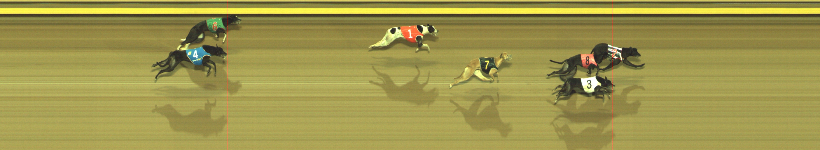 Photo finish for Geelong Race 4