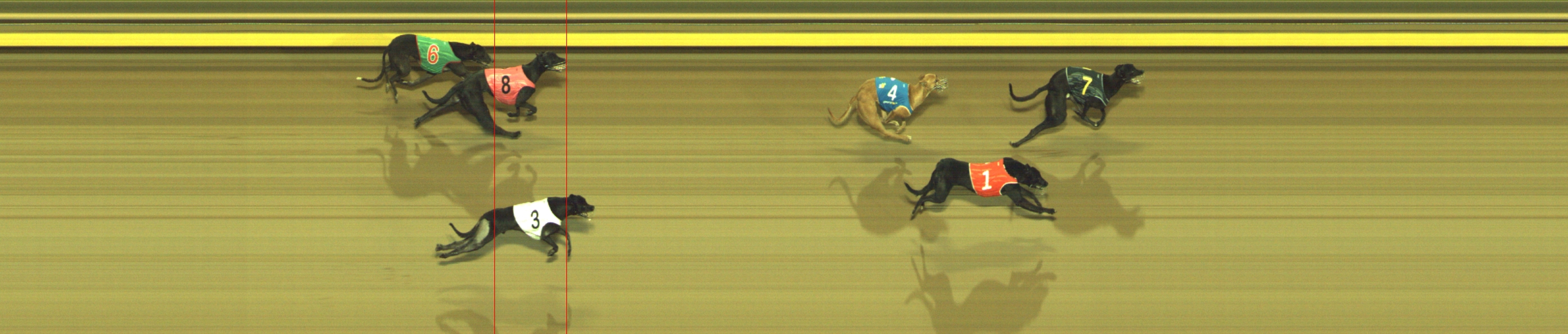 Photo finish for Geelong Race 5