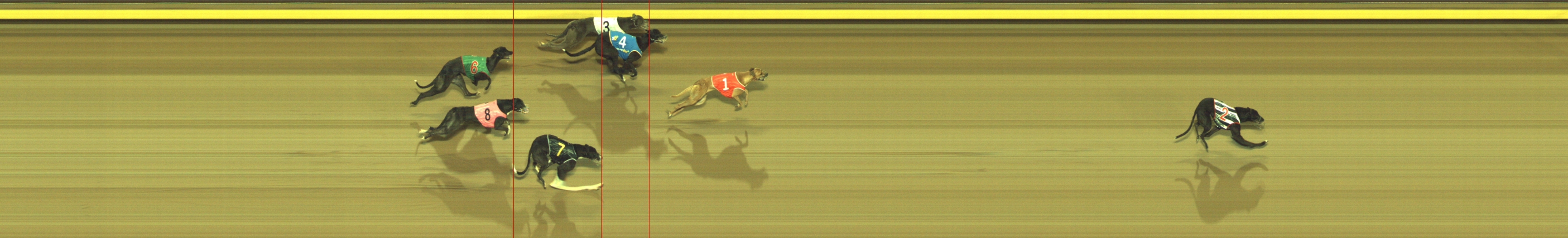 Photo finish for Geelong Race 6