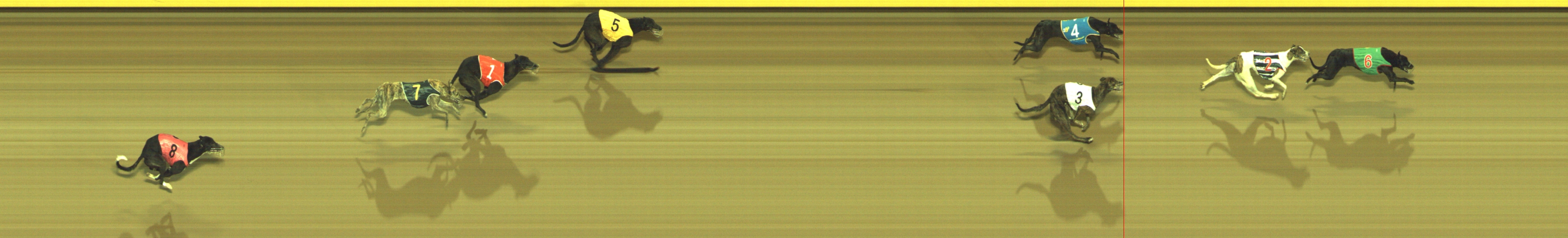 Photo finish for Geelong Race 7