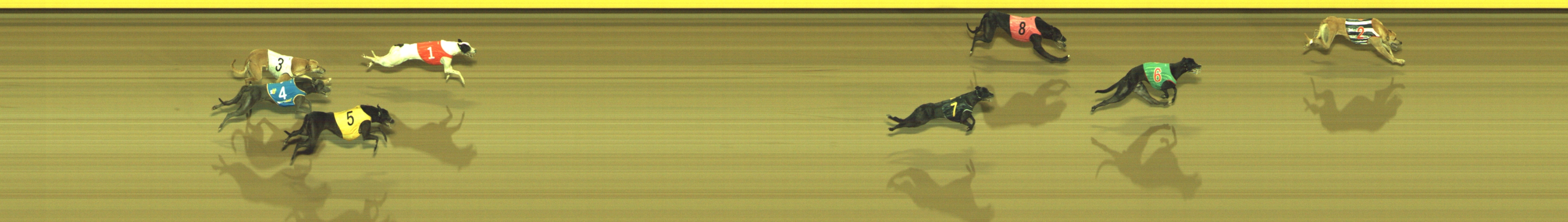 Photo finish for Geelong Race 8