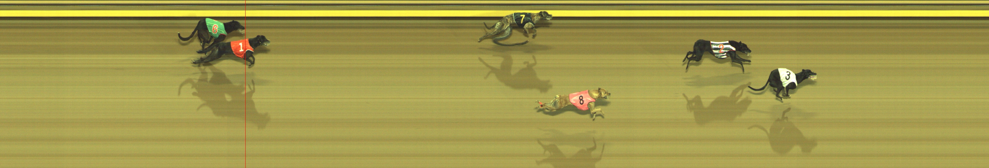Photo finish for Geelong Race 10