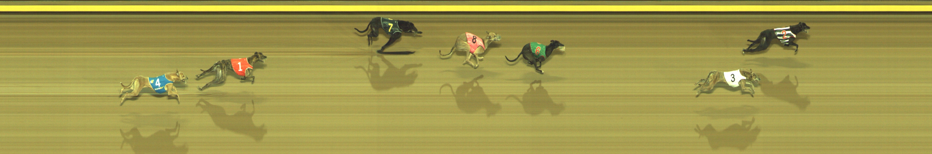 Photo finish for Geelong Race 11