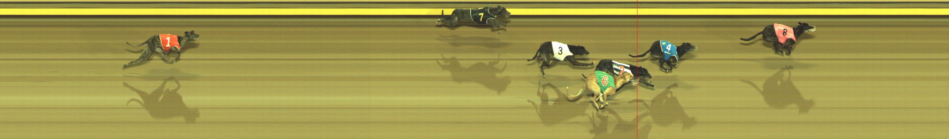 Photo finish for Geelong Race 12
