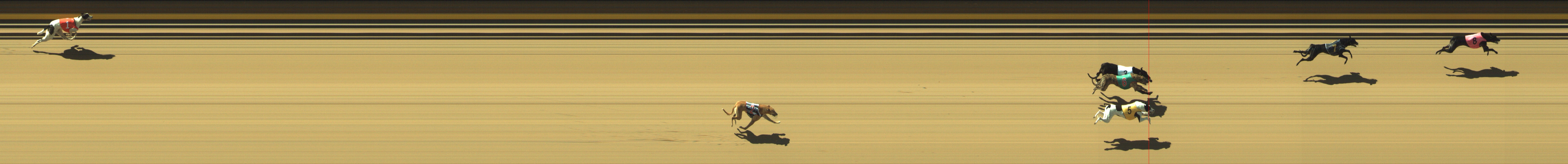 Photo finish for Geelong Race 1