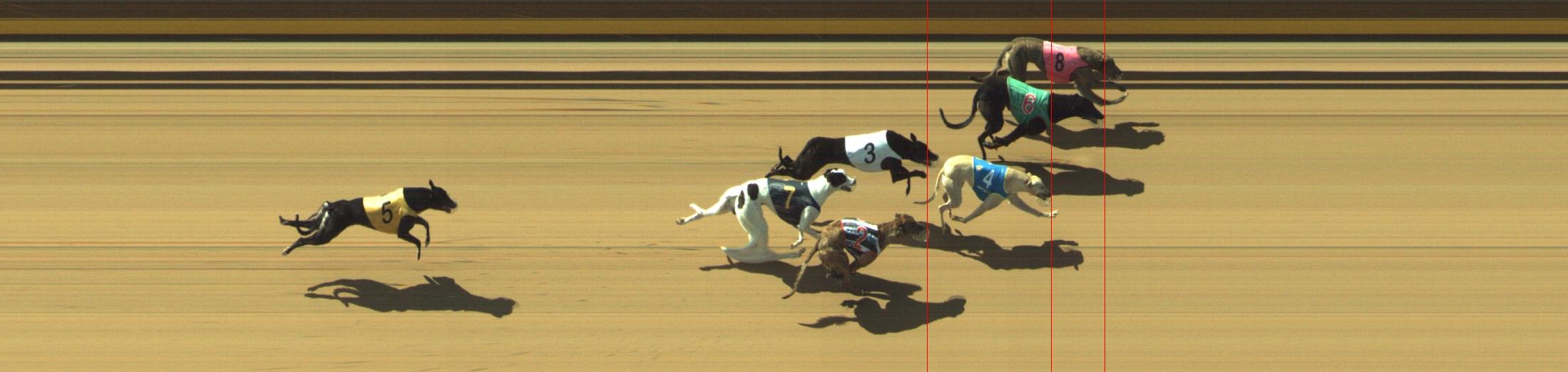Photo finish for Geelong Race 2