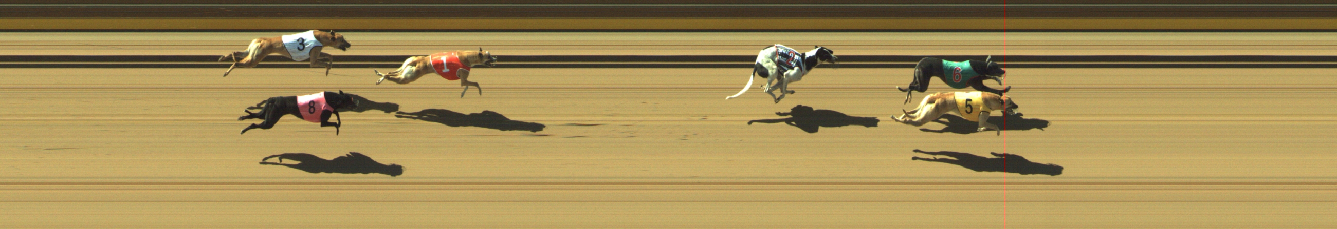 Photo finish for Geelong Race 3