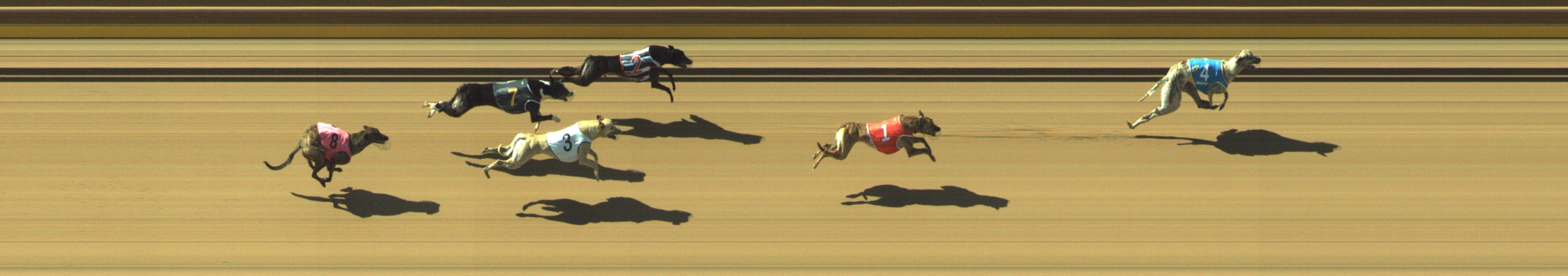 Photo finish for Geelong Race 4