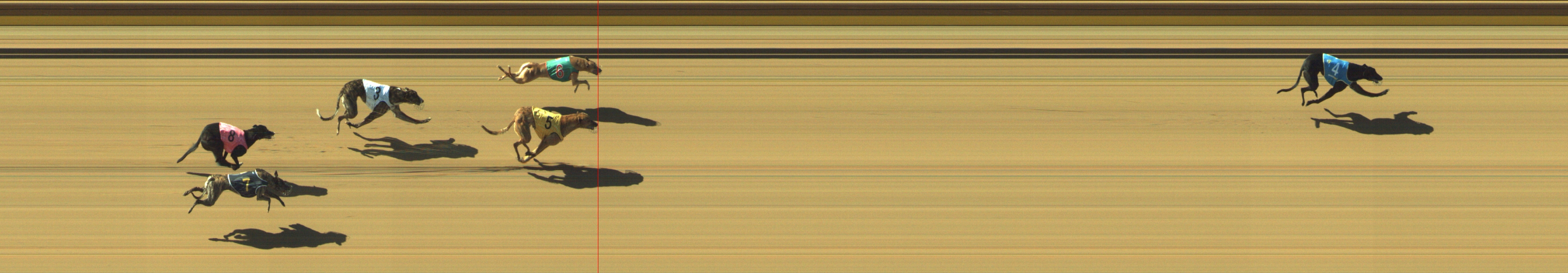 Photo finish for Geelong Race 5