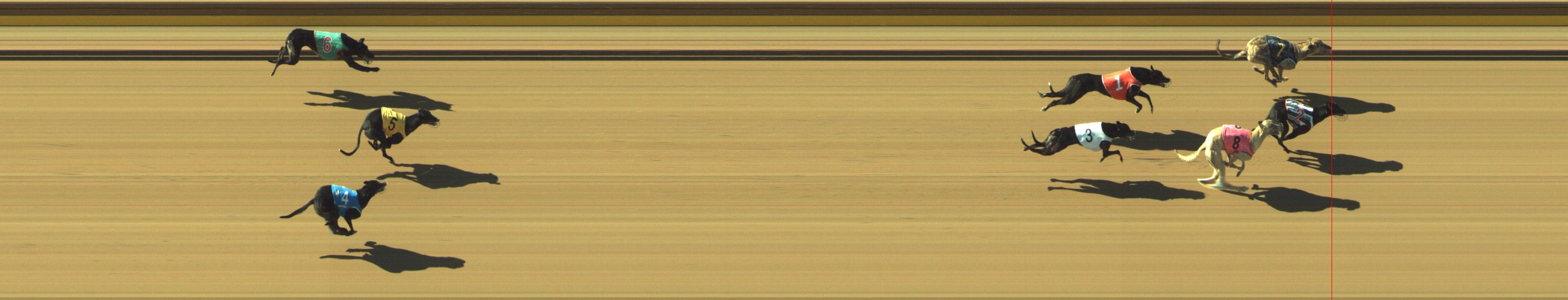 Photo finish for Geelong Race 6