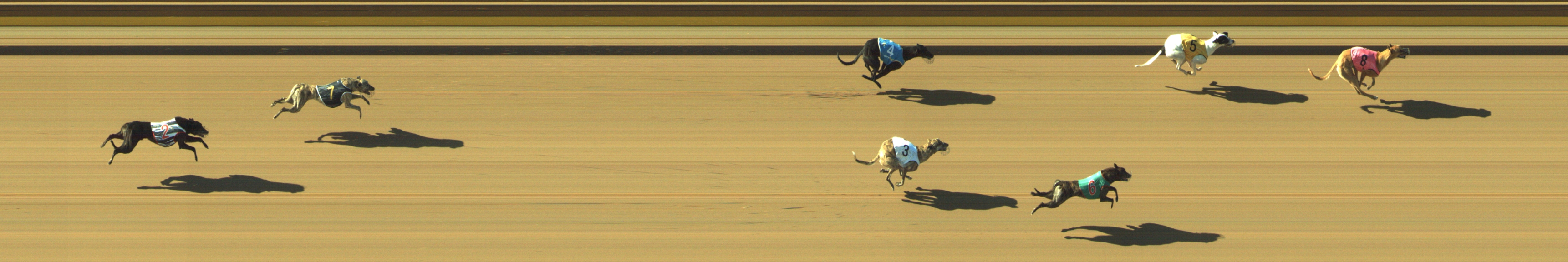 Photo finish for Geelong Race 7