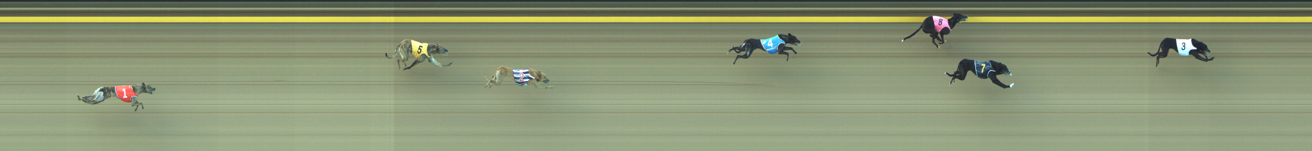 Photo finish for Geelong Race 8