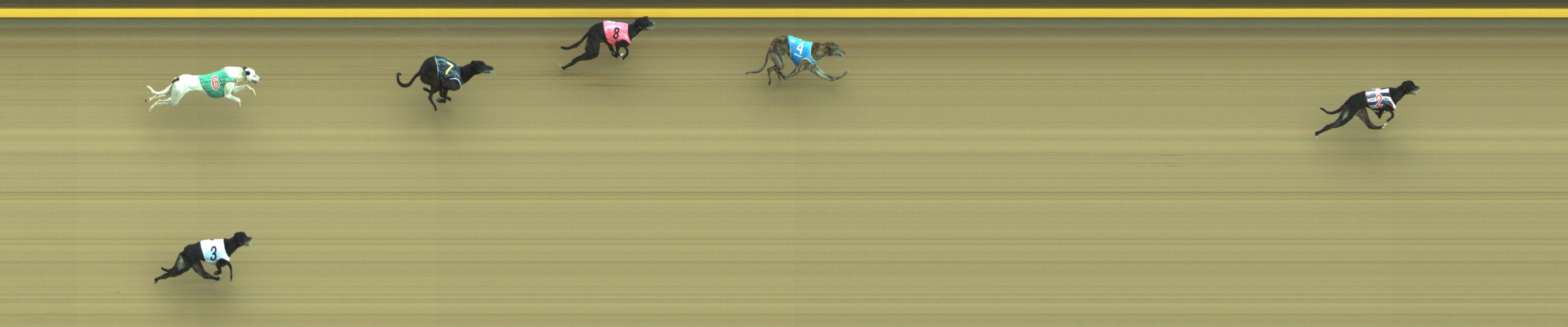 Photo finish for Geelong Race 9