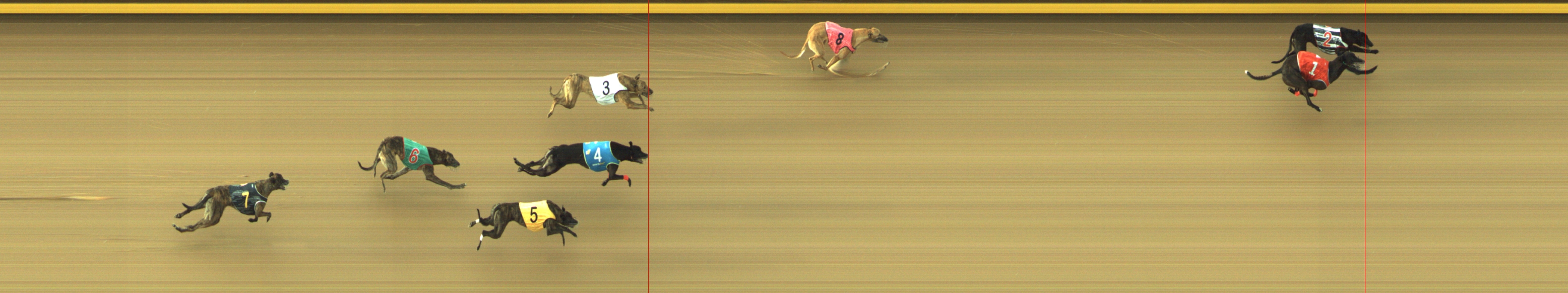 Photo finish for Geelong Race 10
