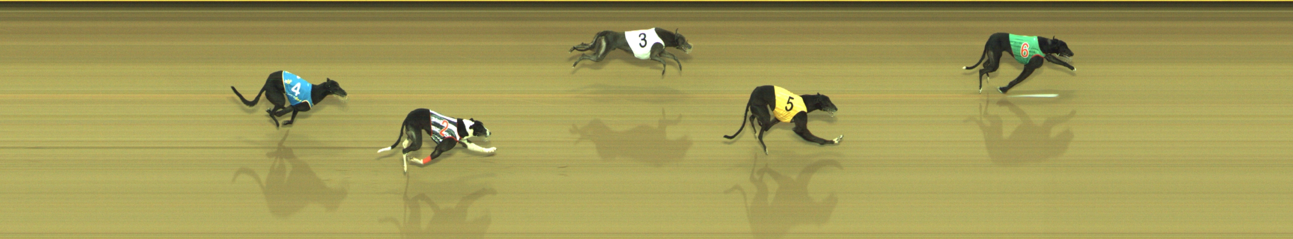 Photo finish for Geelong Race 11