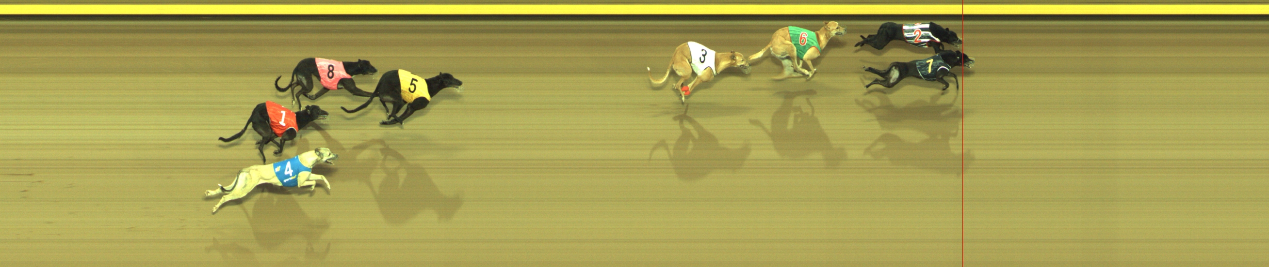 Photo finish for Geelong Race 12