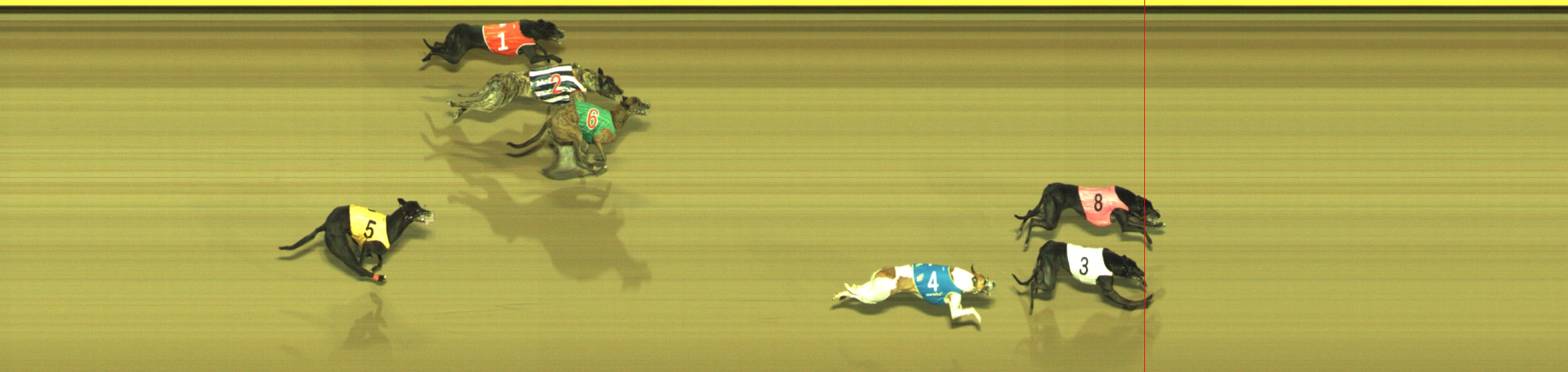 Photo finish for Geelong Race 13