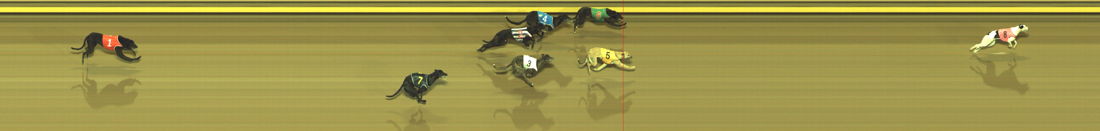 Photo finish for Geelong Race 2