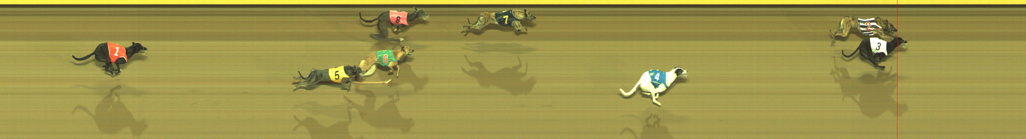 Photo finish for Geelong Race 3
